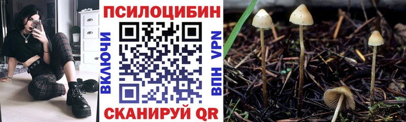 Галлюциногенные грибы мицелий  закладки  дарк нет наркотические препараты  Биробиджан 