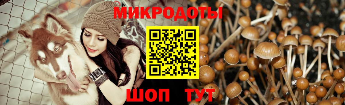 Биробиджан  Галлюциногенные грибы мицелий  как найти наркотики  Вход с VPN  Галлюциногенные грибы MAGIC MUSHROOMS 