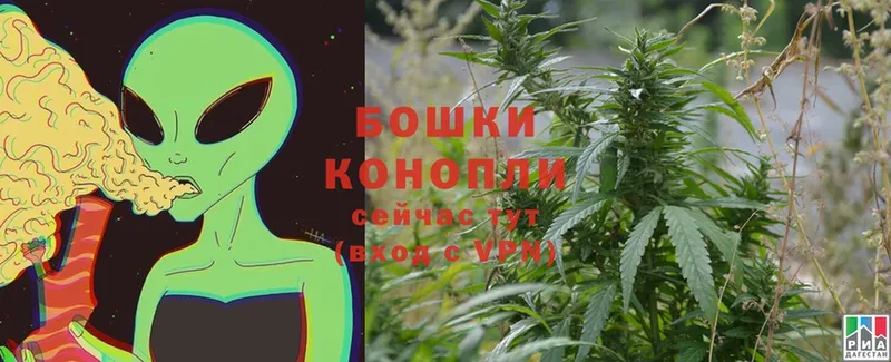 где продают   Биробиджан  Канабис White Widow 