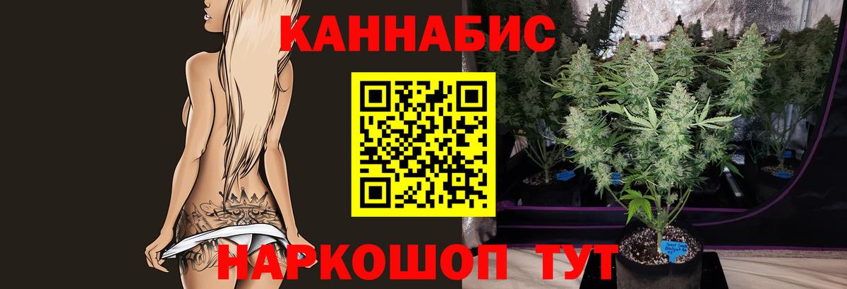 Канабис Ganja  Конопля гибрид  Каннабис SATIVA & INDICA  Вход с VPN  МАРИХУАНА ГИДРОПОН  Биробиджан 